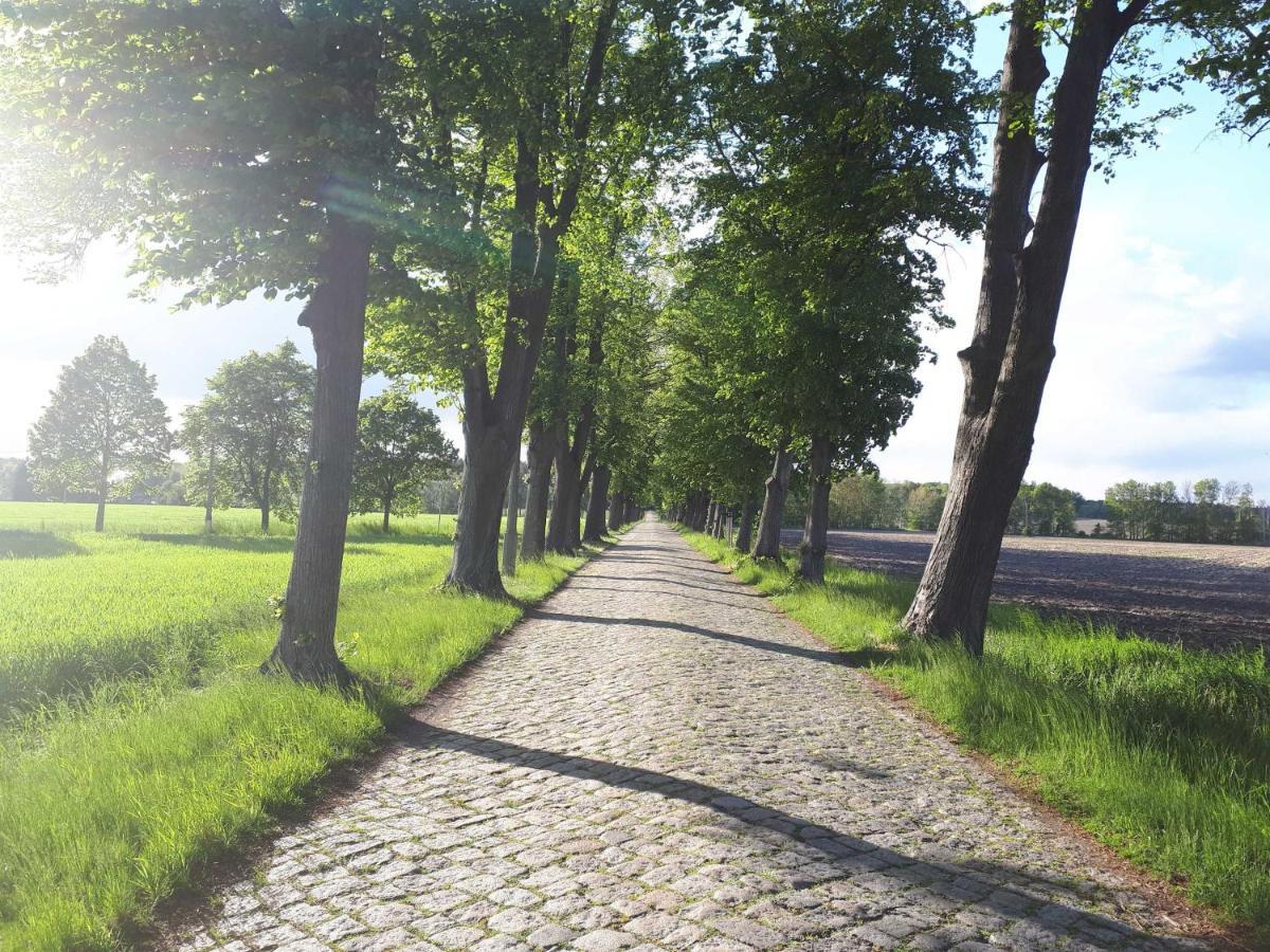 Pension Marina Lauta Eksteriør billede